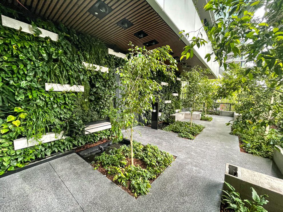 Green Walls 